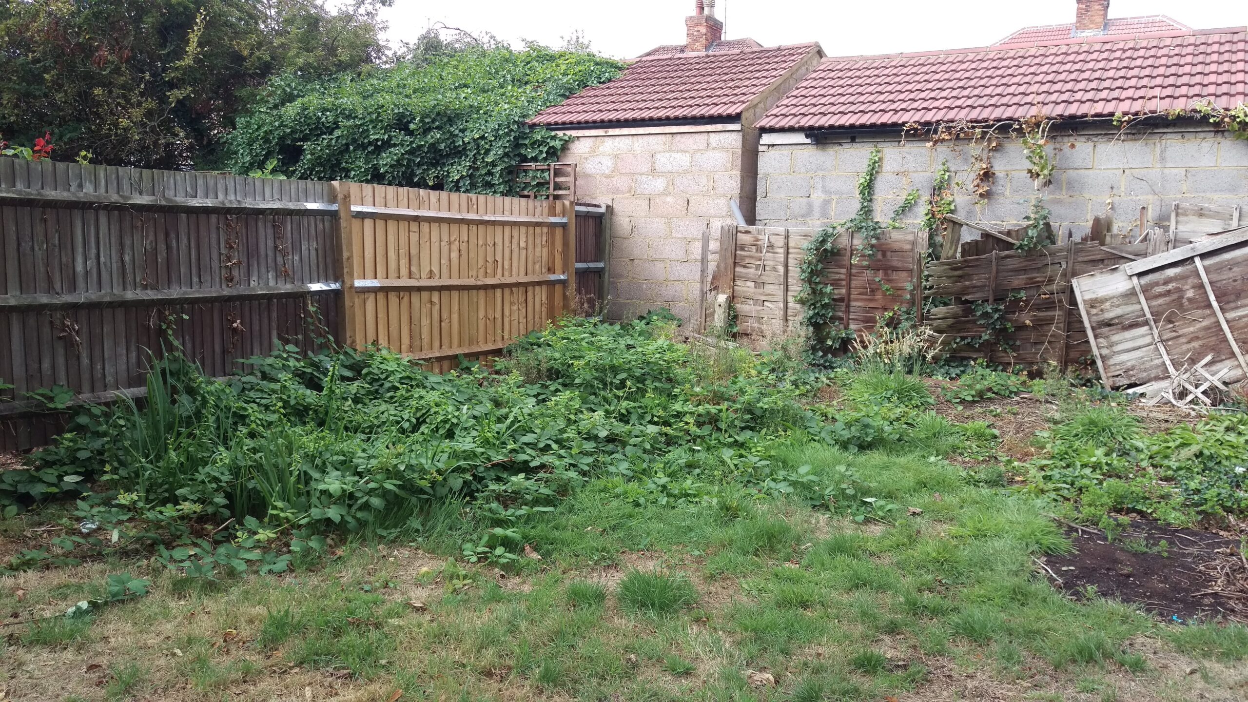 Garden Maintenance, garden clearance