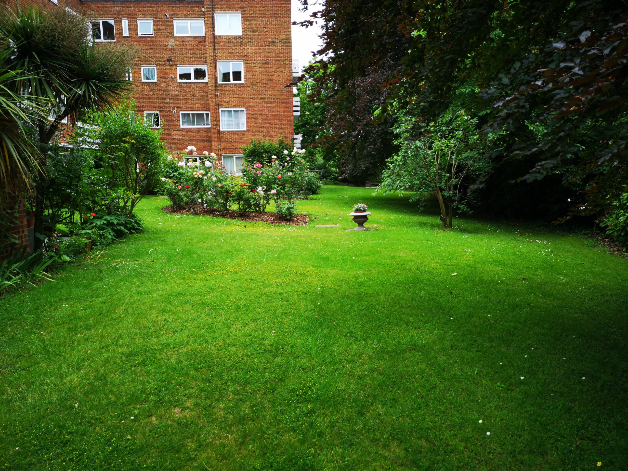 Hedge Trimming