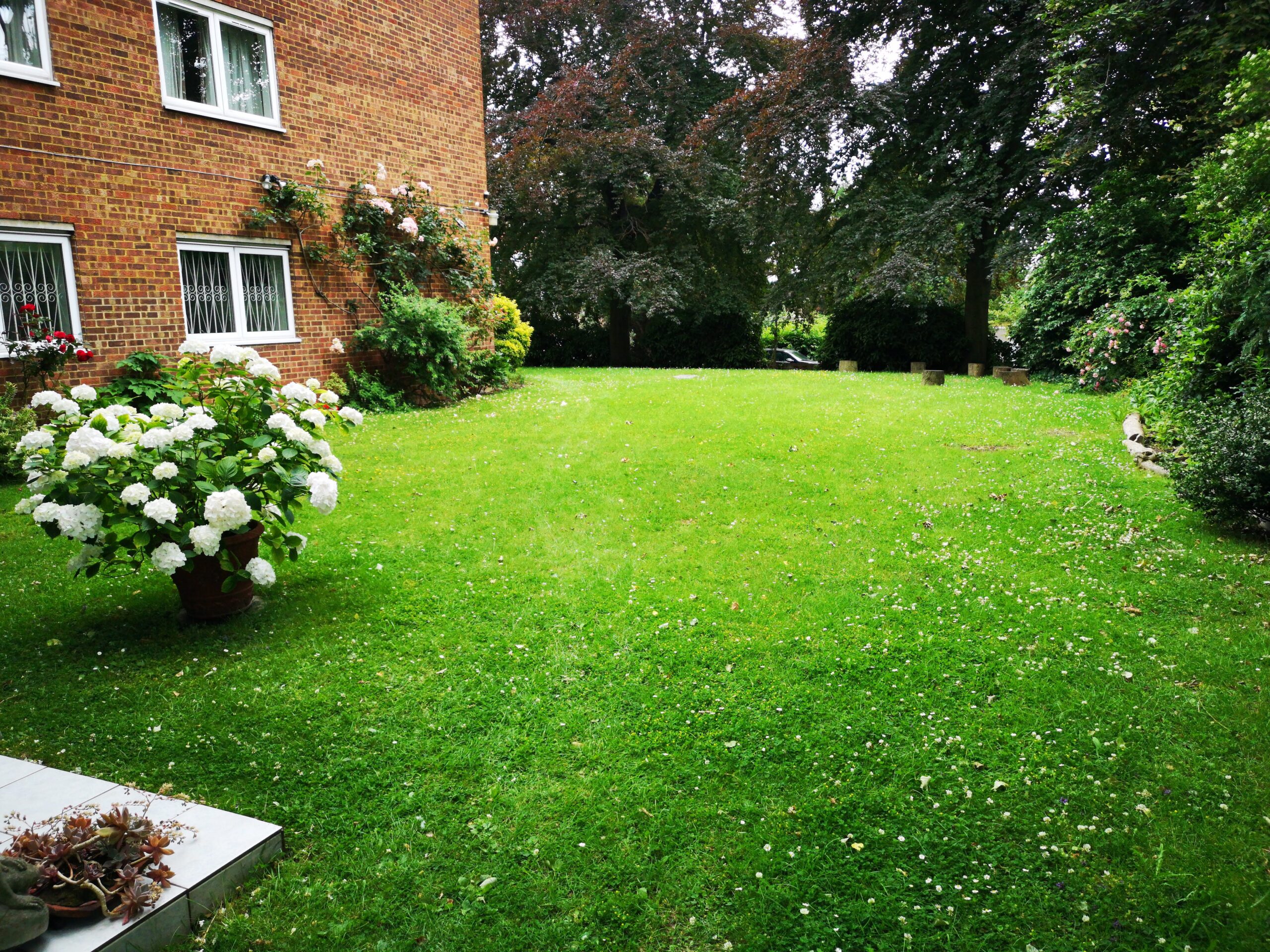 Garden Clearance, Lawn Care & Mowing, Garden Landscaping, gardening services