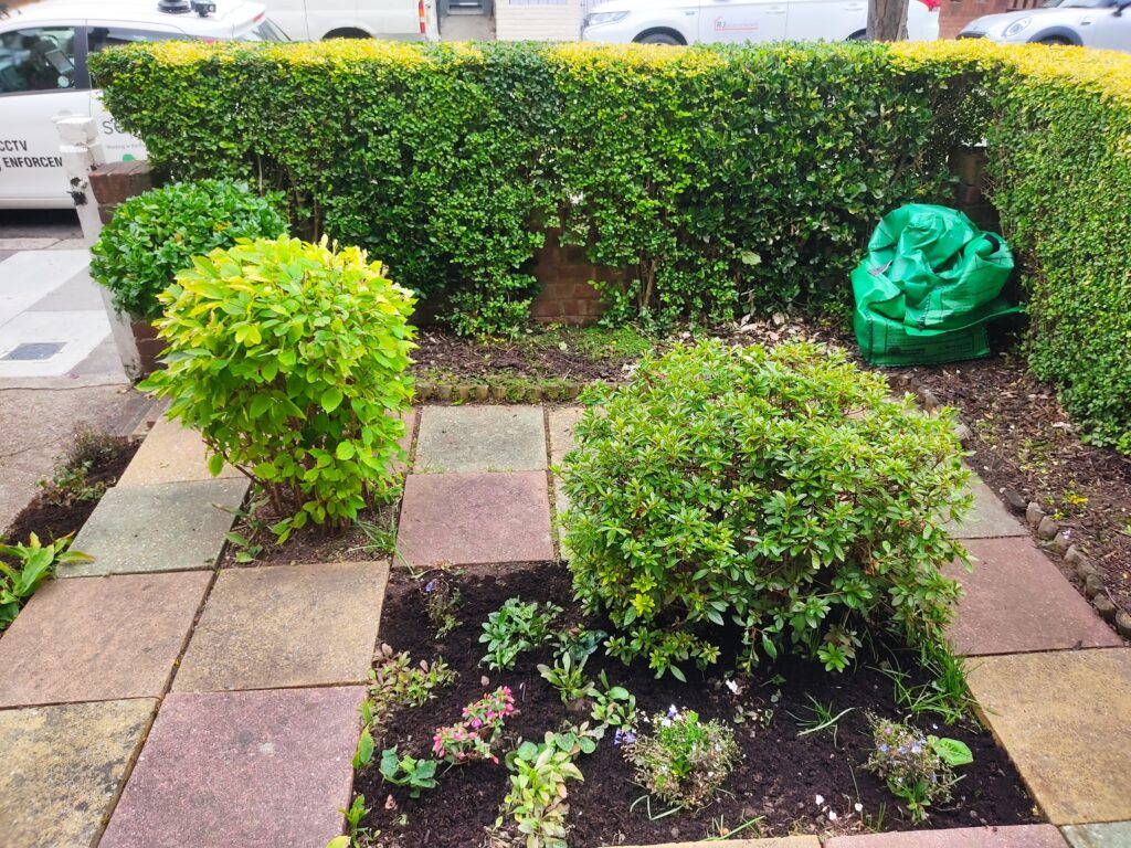 Weeding & Pruning, Gardening Services