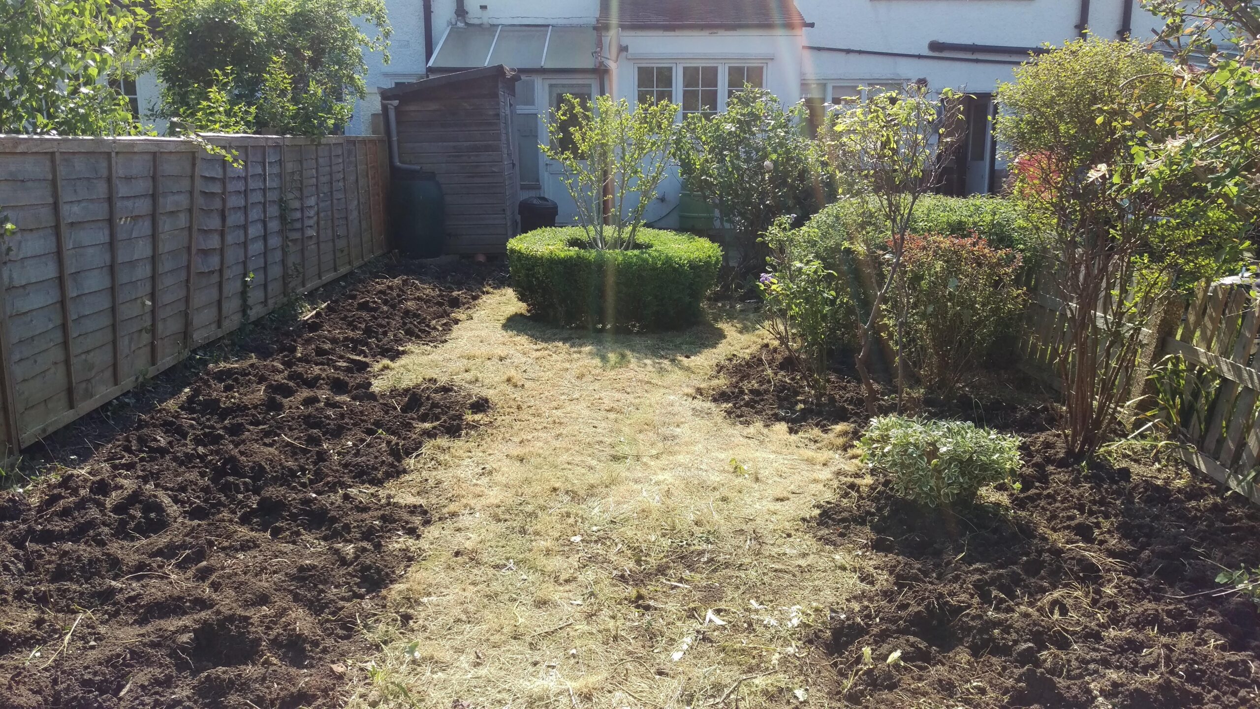 back garden clearance