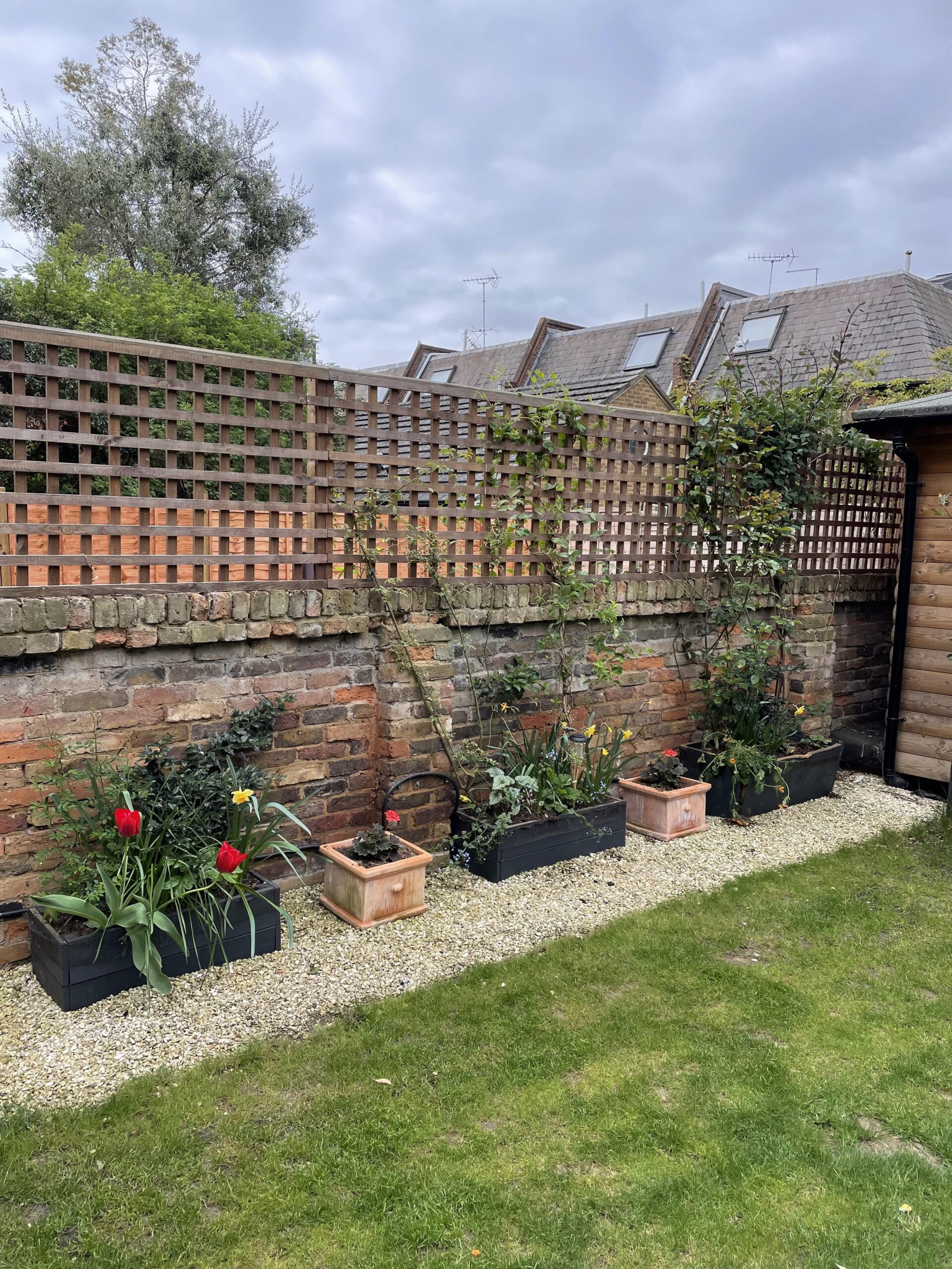 raised beds