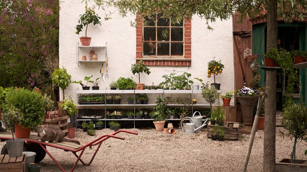 garden storage ideas for the fall season, garden maintenance and professional gardening services in west london