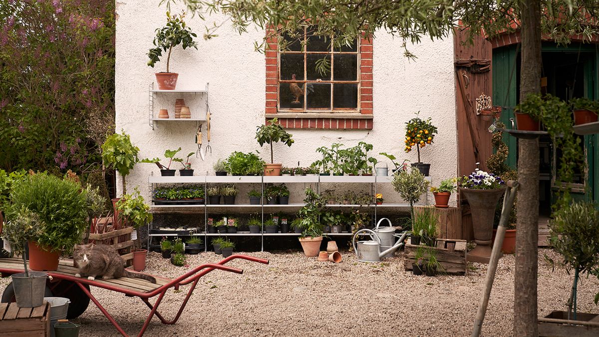 garden storage ideas for the fall season, garden maintenance and professional gardening services in west london, garden ideas in west london